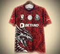 Maillot Concept FC Porto Édition Rouge 24/25