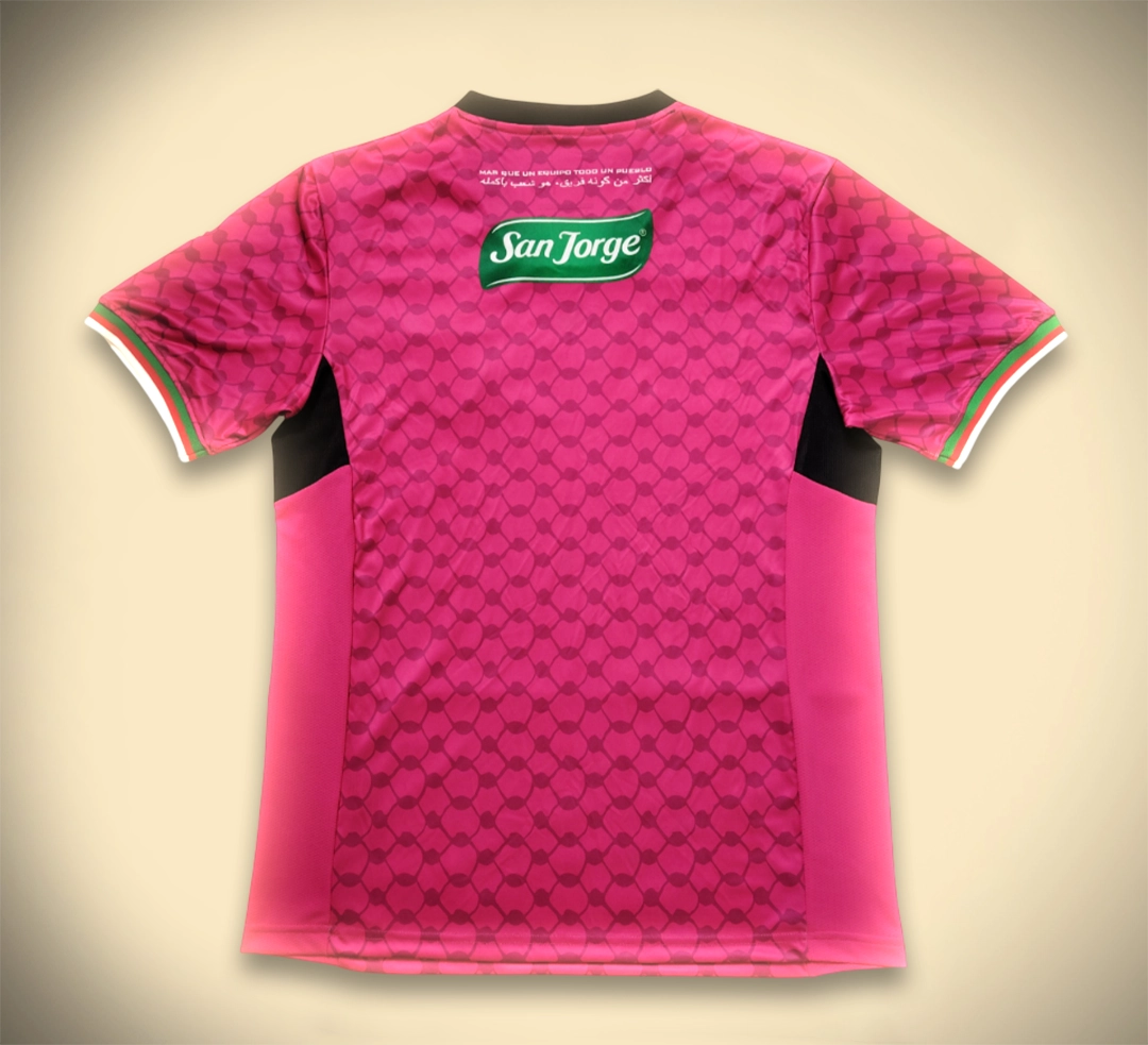 Maillot Palestine Gardien Rose 2025